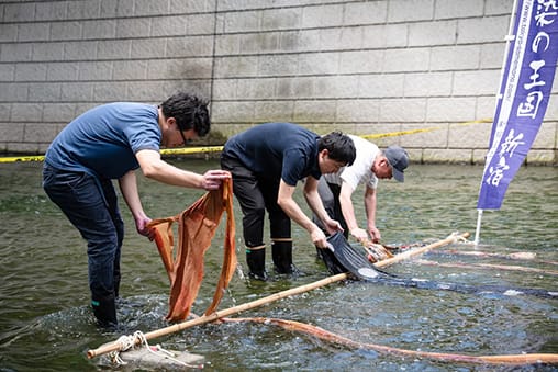 マチチカヒトチカプロジェクト 第3弾「Re:born」