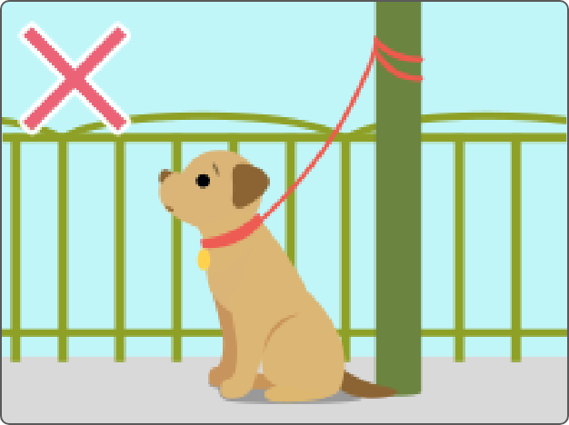 イメージ：ペット同伴について