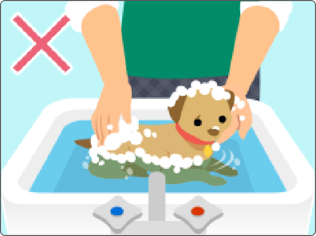 イメージ：ペット同伴について